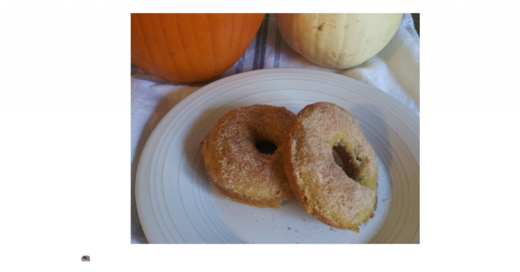 Einklorn pumpkin donuts